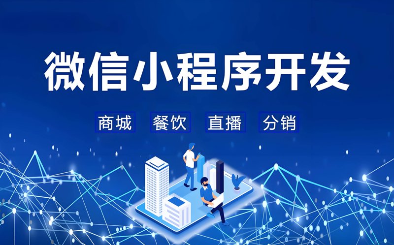 网站建设与管理是学什么的？—以广西星巢网络为例